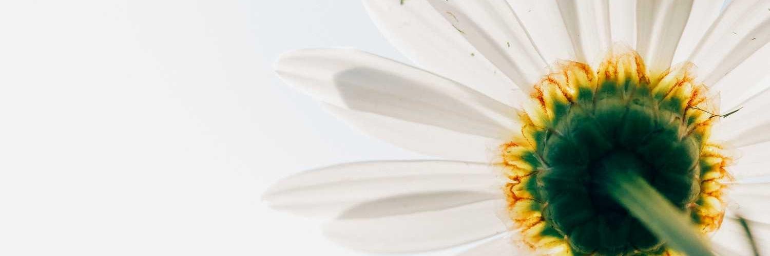 chispajo23's profile banner image
