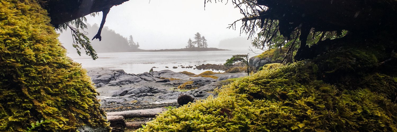 Alyssa Stapleton (She/her) banner