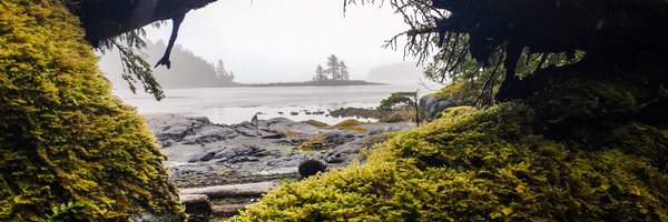 Amstaple Profile Banner