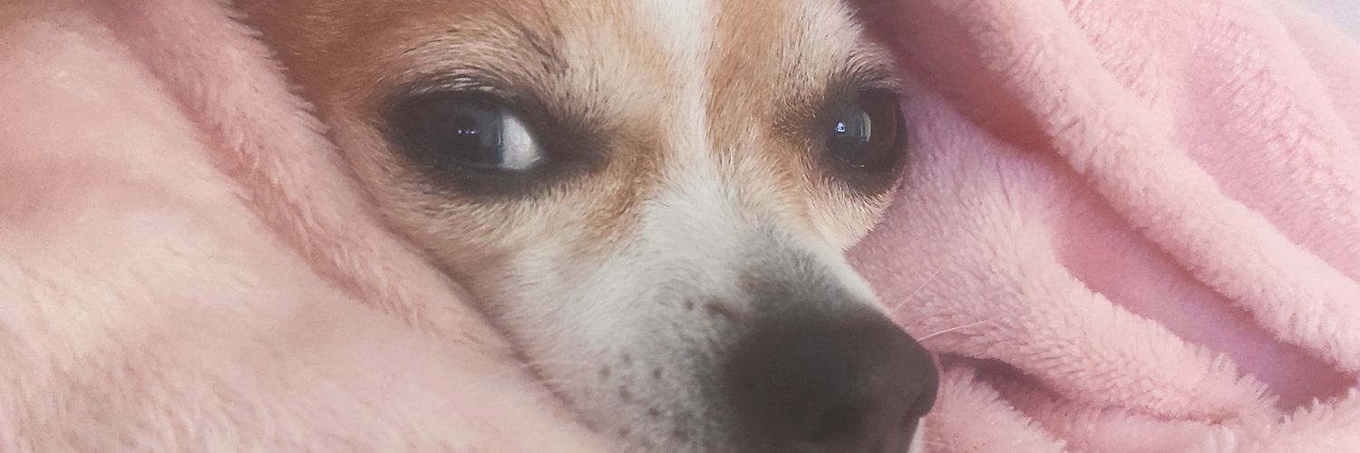 CoralNR's profile banner image