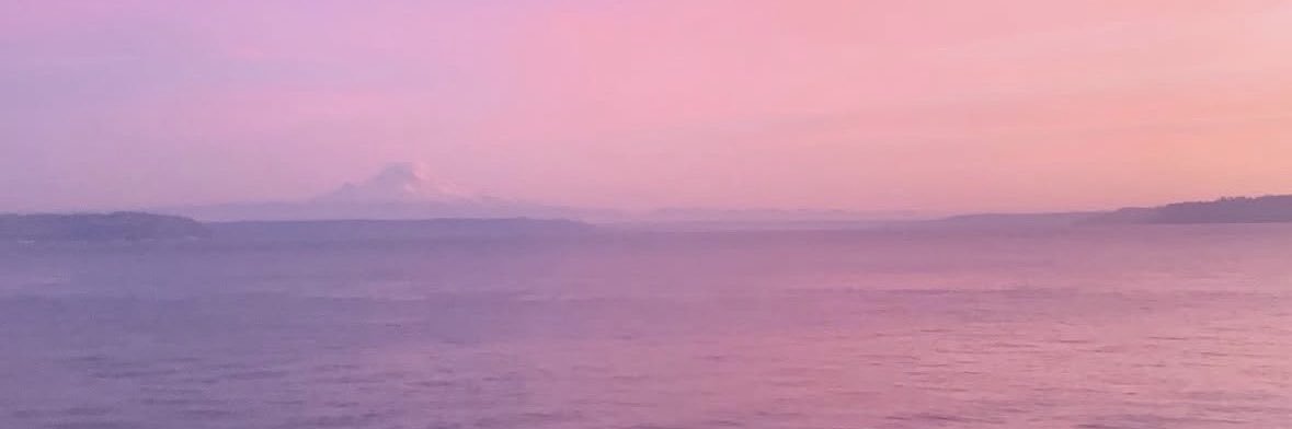 grace sheridan banner