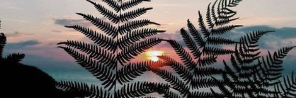 sergyfndz's profile banner image