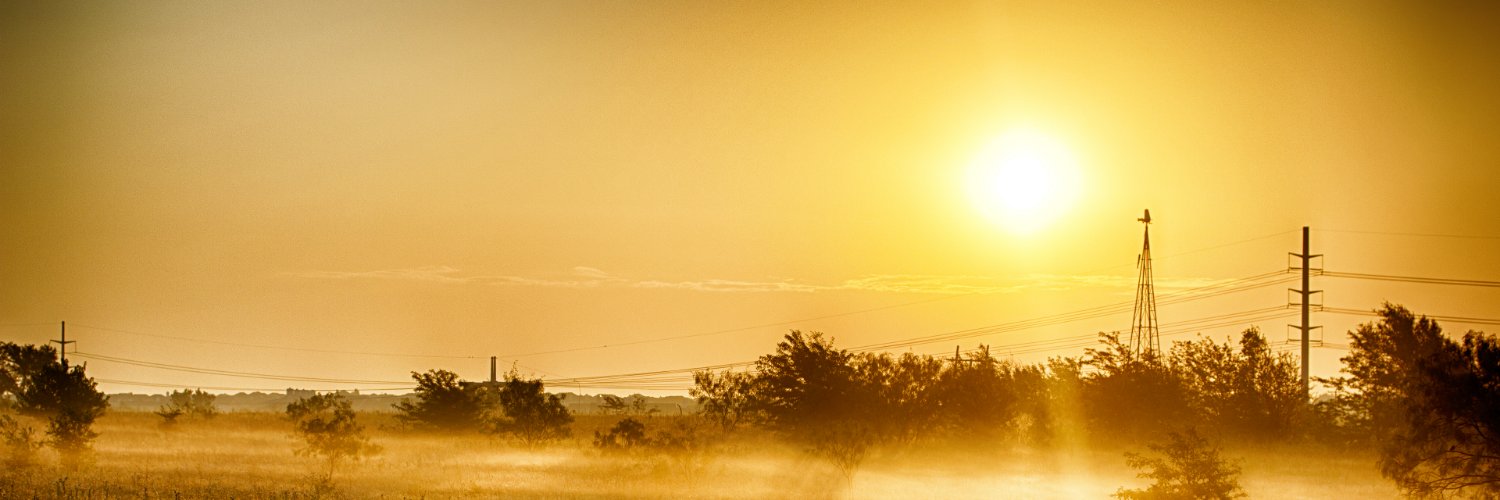 pilaze's profile banner image