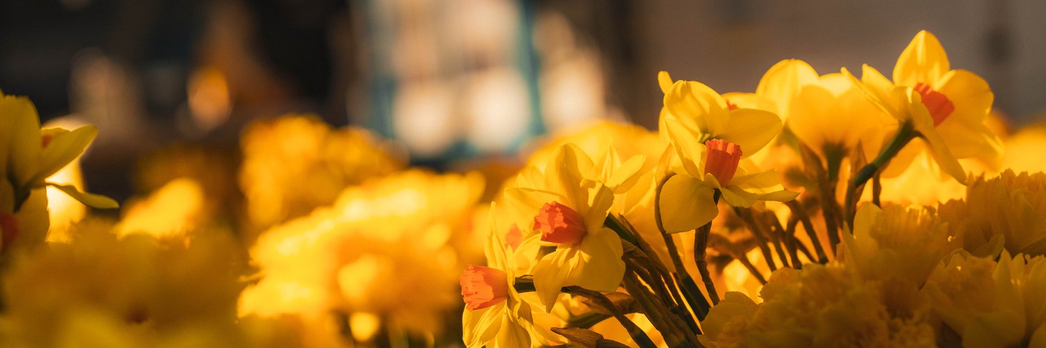 Cancer Council Queensland banner