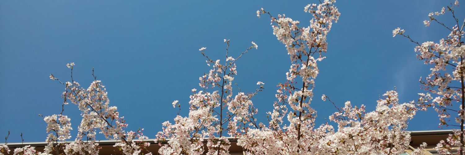 _white_clouds's profile banner image