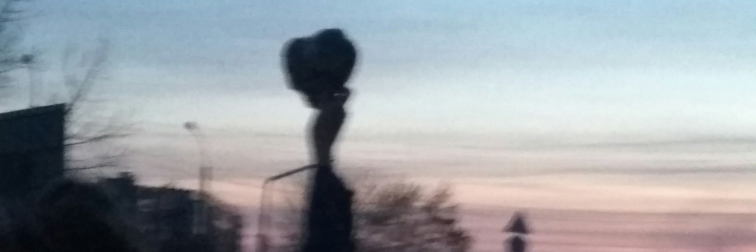 solizarenko's profile banner image