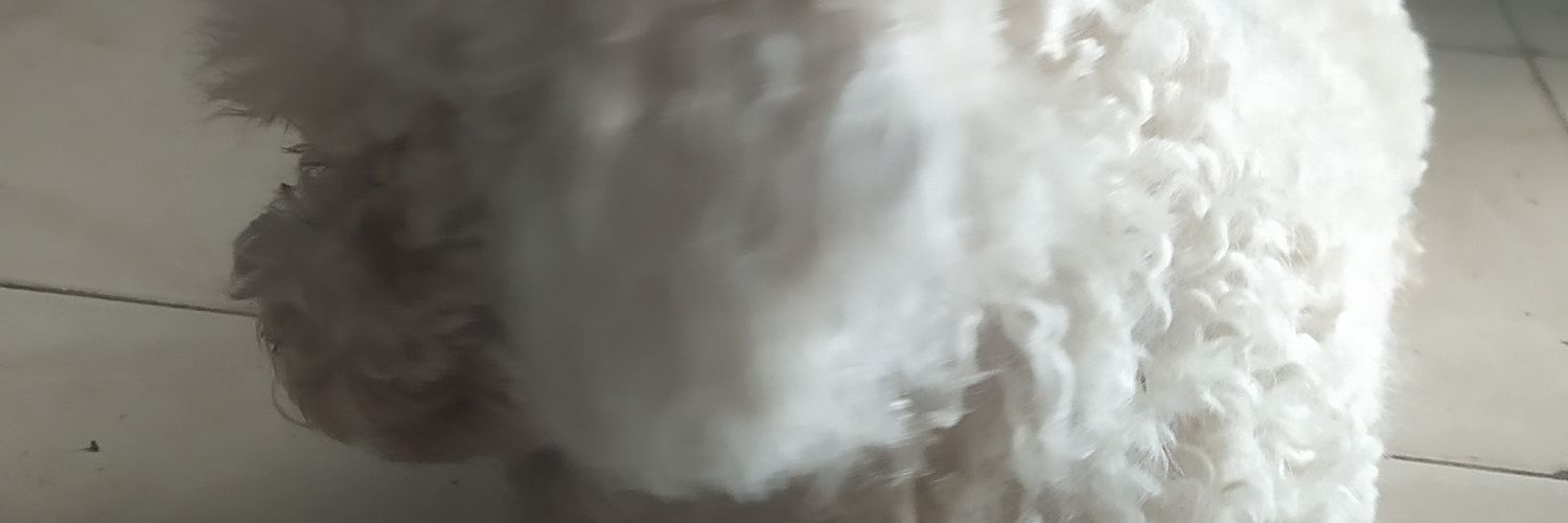 Melissadr3's profile banner image