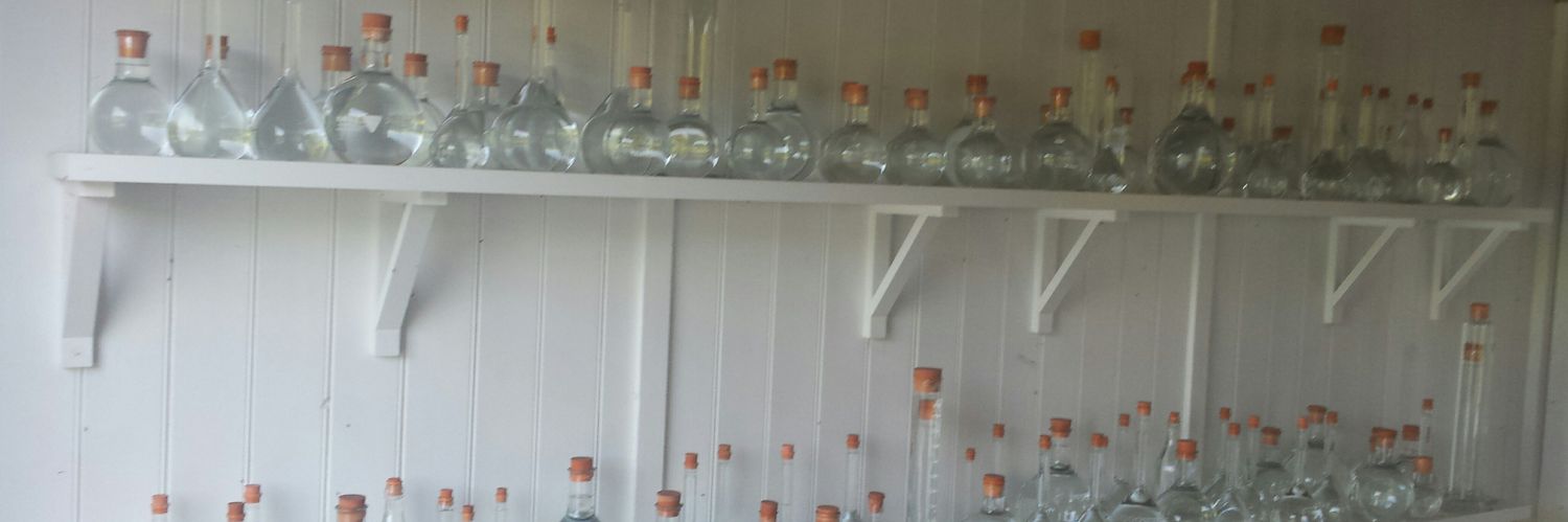 Catherine Polley banner