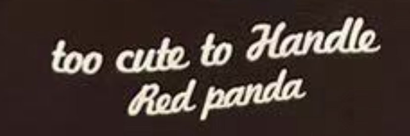 SocialFi Panda banner