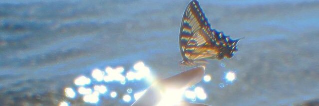 _SincerelyDanny's profile banner image