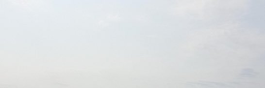 dieblume81's profile banner image