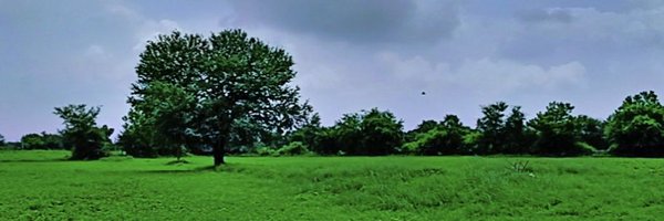 AMKHOKHAR3 Profile Banner