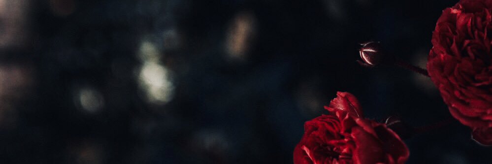 Colochita3's profile banner image
