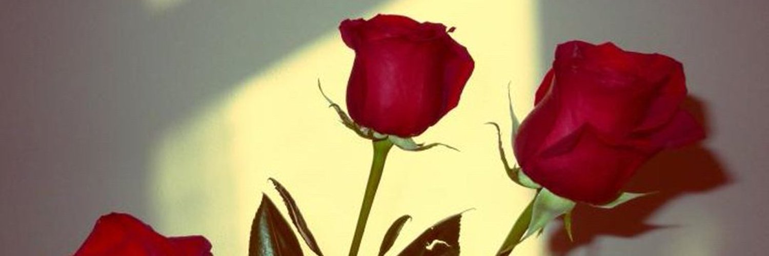 ℌ𝔞𝔲𝔫𝔱𝔢𝔡 𝔇𝔬𝔩𝔩𝔶 banner