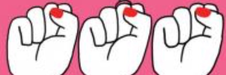 CIDFF HauteCorse banner