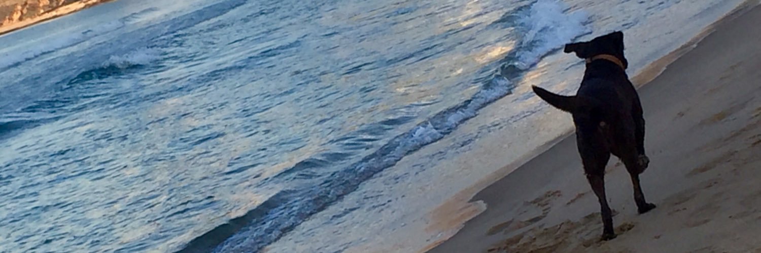 rhanna5's profile banner image