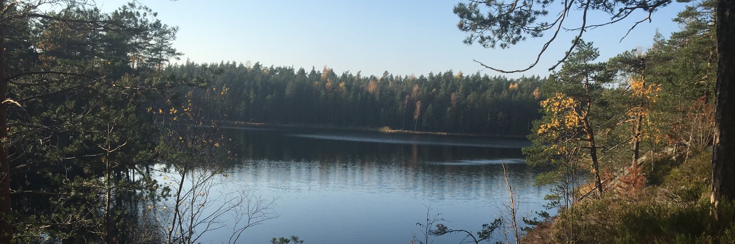 STHaapasaari's profile banner image