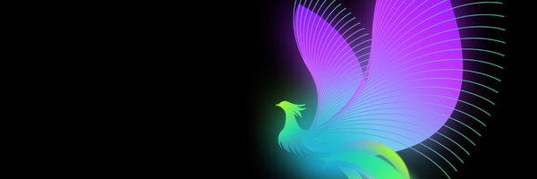 0xErbil Profile Banner
