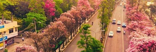 0RRCA Profile Banner