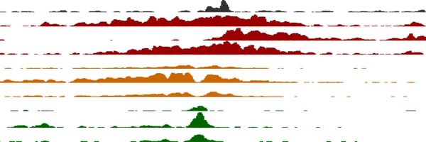 GSchotta Profile Banner