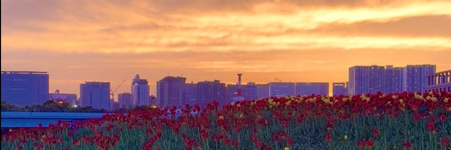 NeverforgetHKPF's profile banner image