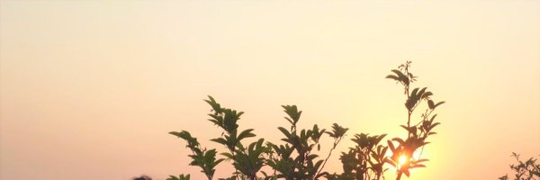 GreenMirchiii Profile Banner