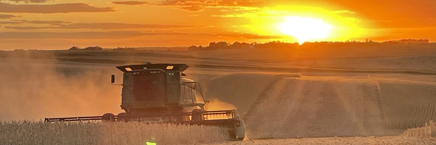 LKoenigsfeld's profile banner image