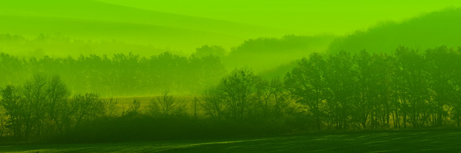 eovefr's profile banner image