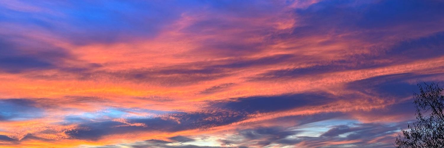 Corsin Camichel 🌻 banner