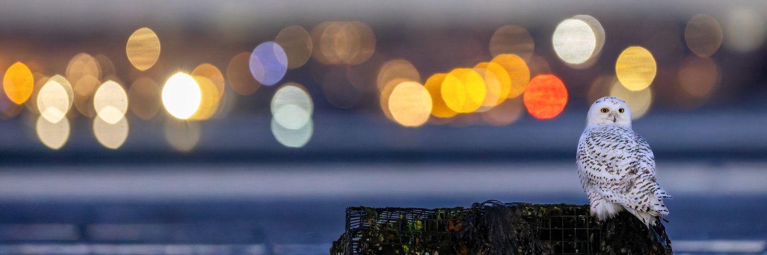 daylight321's profile banner image
