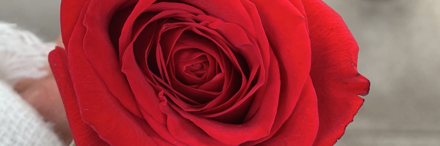 LLmorra's profile banner image