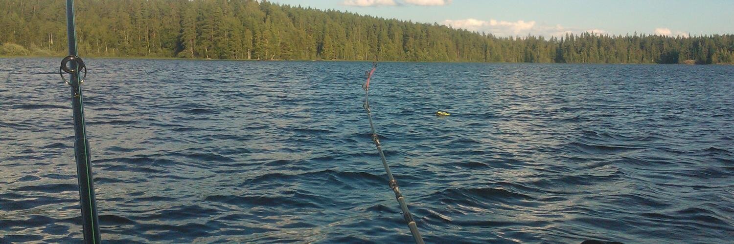 kimkyckling's profile banner image