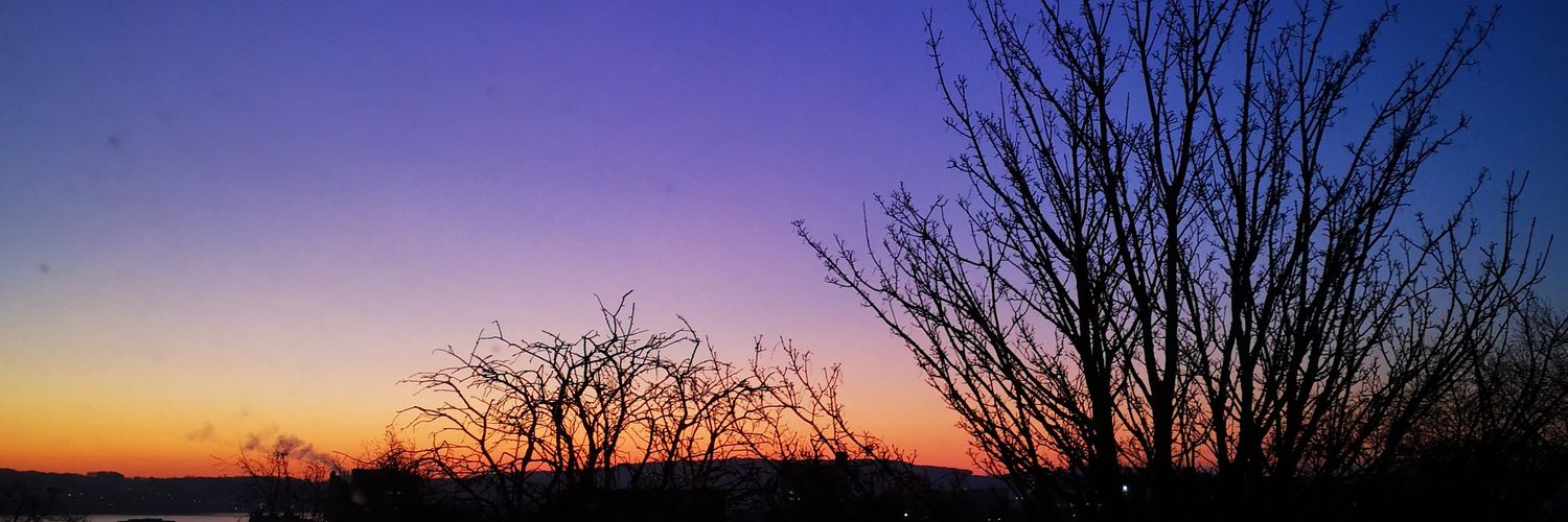 catherinerosss's profile banner image