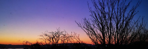 catherinerosss Profile Banner