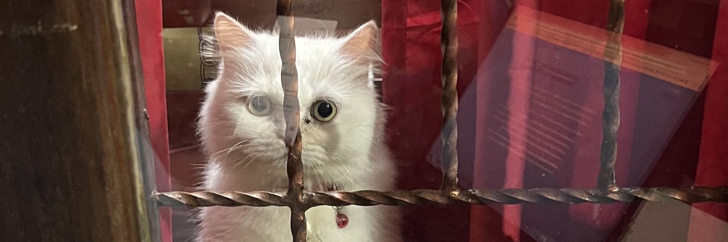 uradmirer🇵🇸 banner