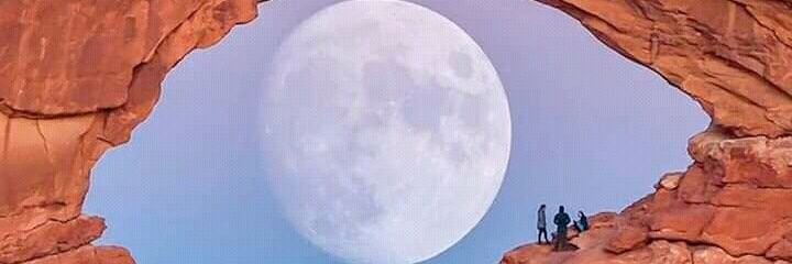 Sammie_Timi 🎮♟️ banner