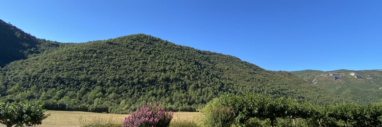 lydie sartout banner