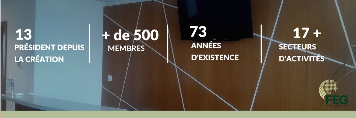 Fédération des Entreprises du Gabon (FEG) banner