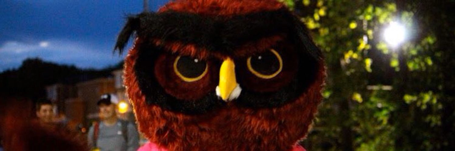 Park Ridge Rowdies banner