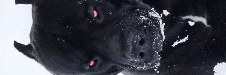 thecjmm's profile banner image