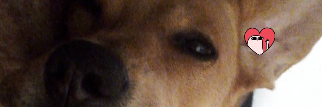 SergioJaraba_'s profile banner image