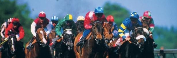 Irish Racehorse Syndicates Association banner