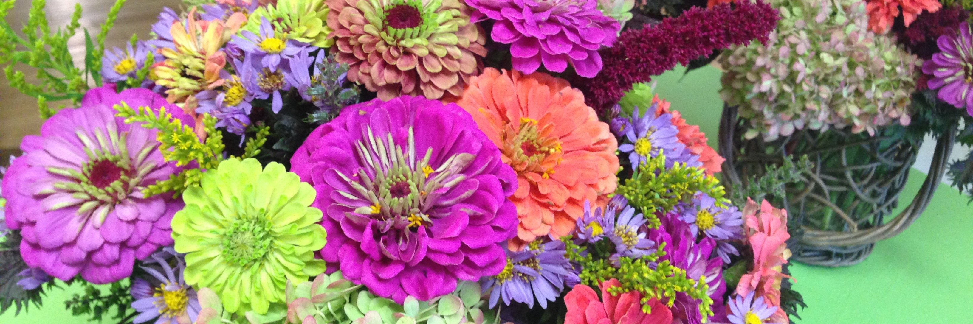 RusticBunch's profile banner image