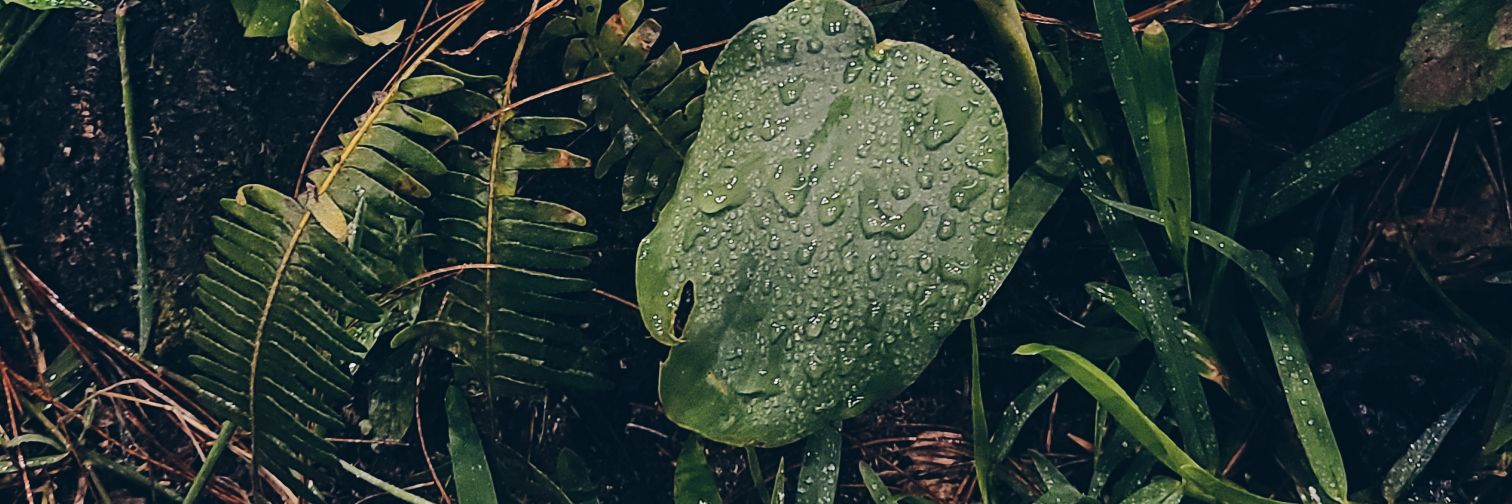 dbarco_'s profile banner image