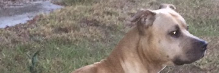 captstone33's profile banner image
