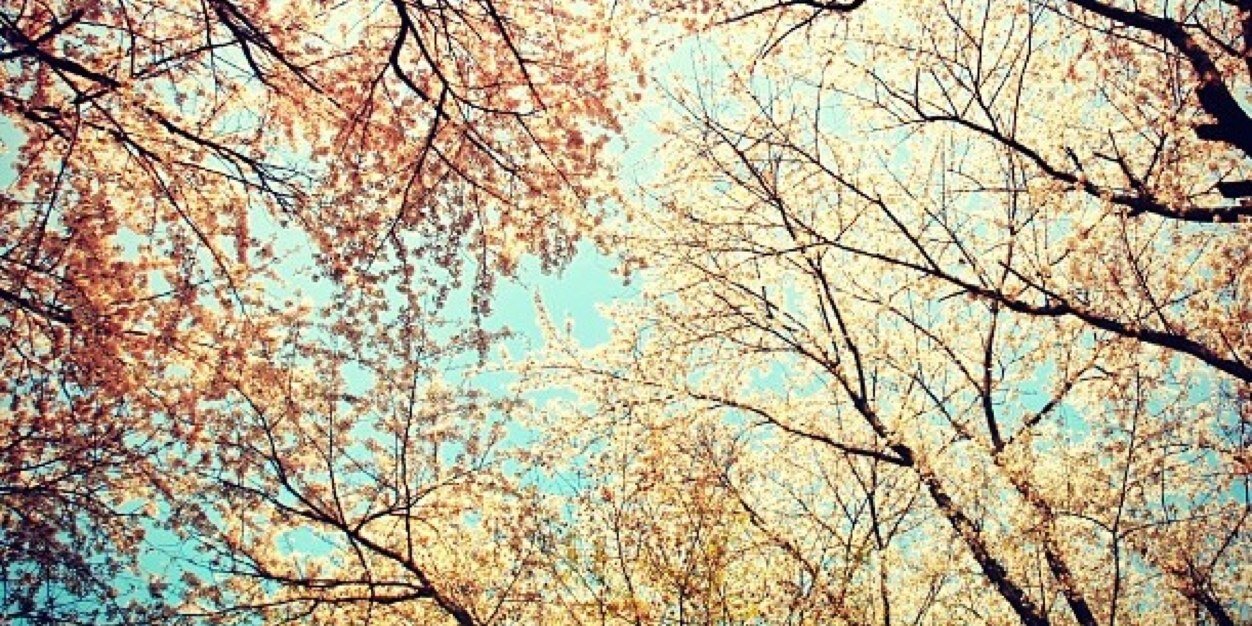 maura_maree's profile banner image