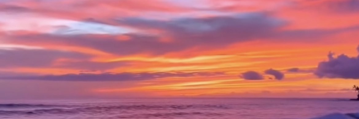 coachingwithdea's profile banner image