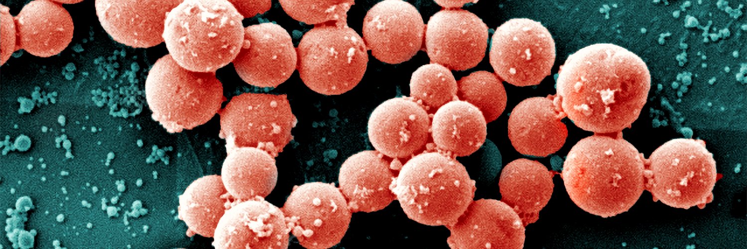 SoftMatterLab banner