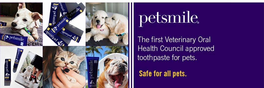 PetsmileUSA's profile banner image