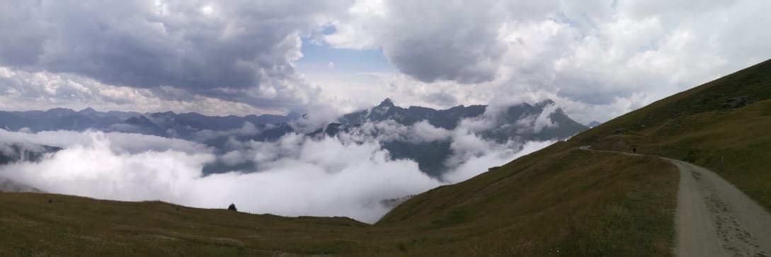 Antonio Vetrò ( Mastodon: avetro@poliversity.it) banner